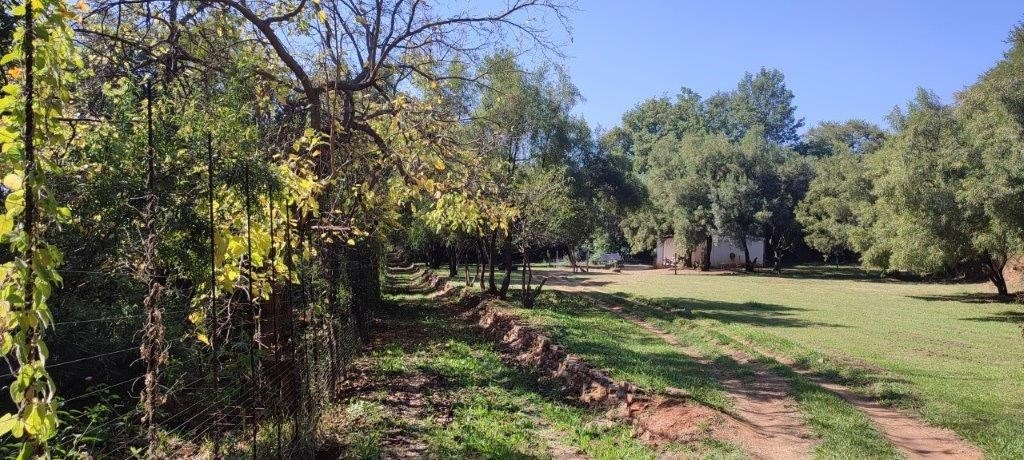 4 Bedroom Property for Sale in Groot Marico North West